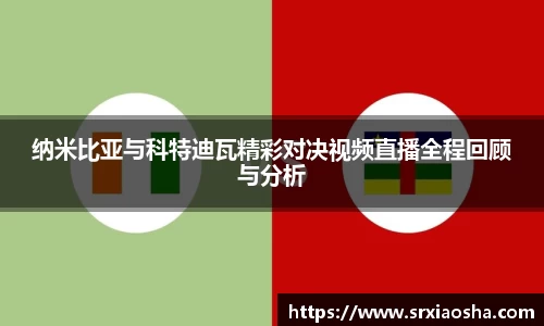 纳米比亚与科特迪瓦精彩对决视频直播全程回顾与分析